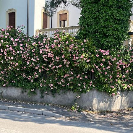 Il Bozzolo Eco Boutique Apartments Valeggio sul Mincio Exteriér fotografie